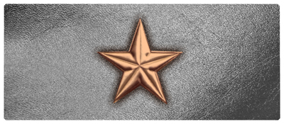 DNSEMP-L-430-BZ-SL Star Bronze-Silver